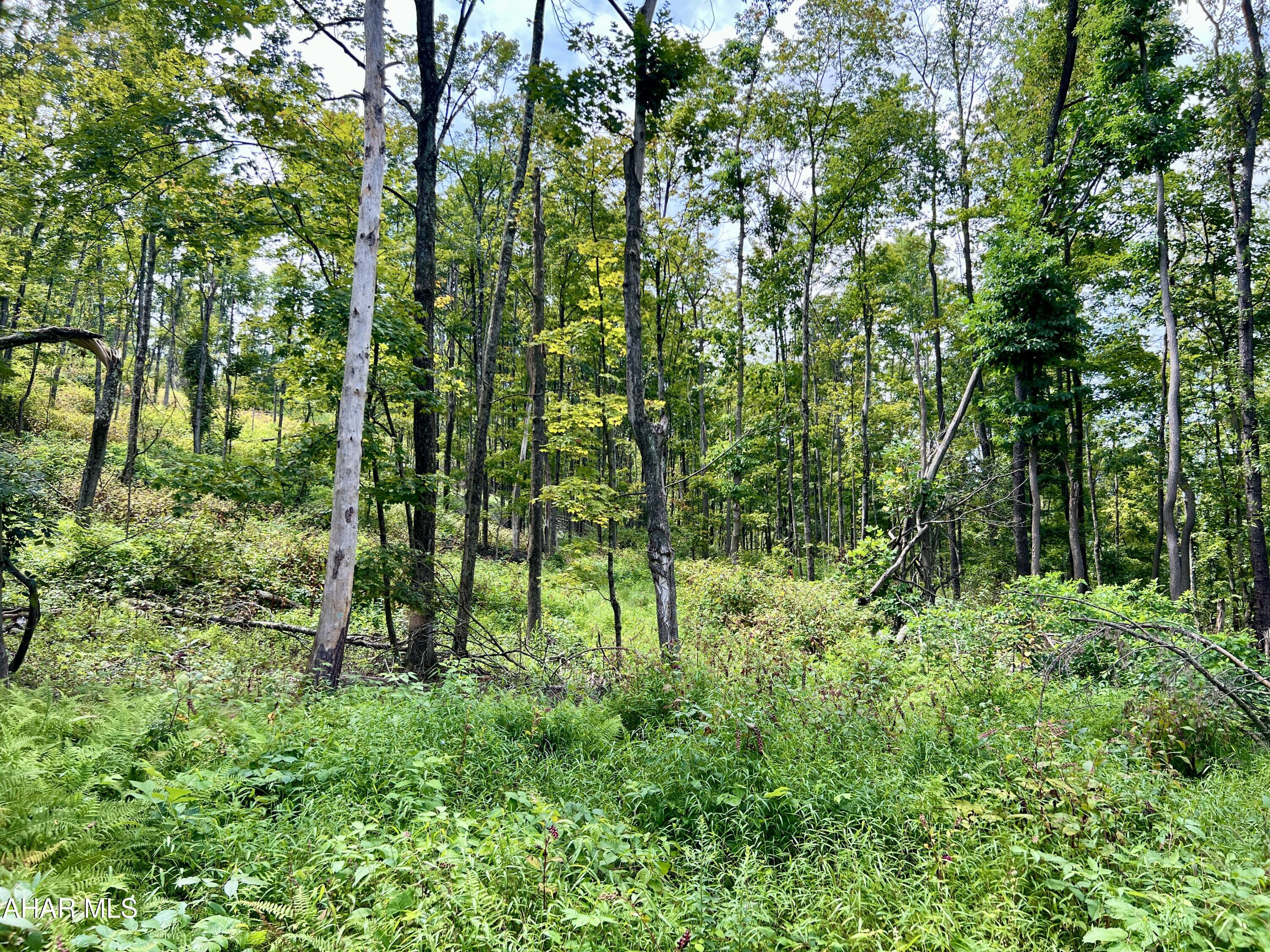 None - Commercial Sale