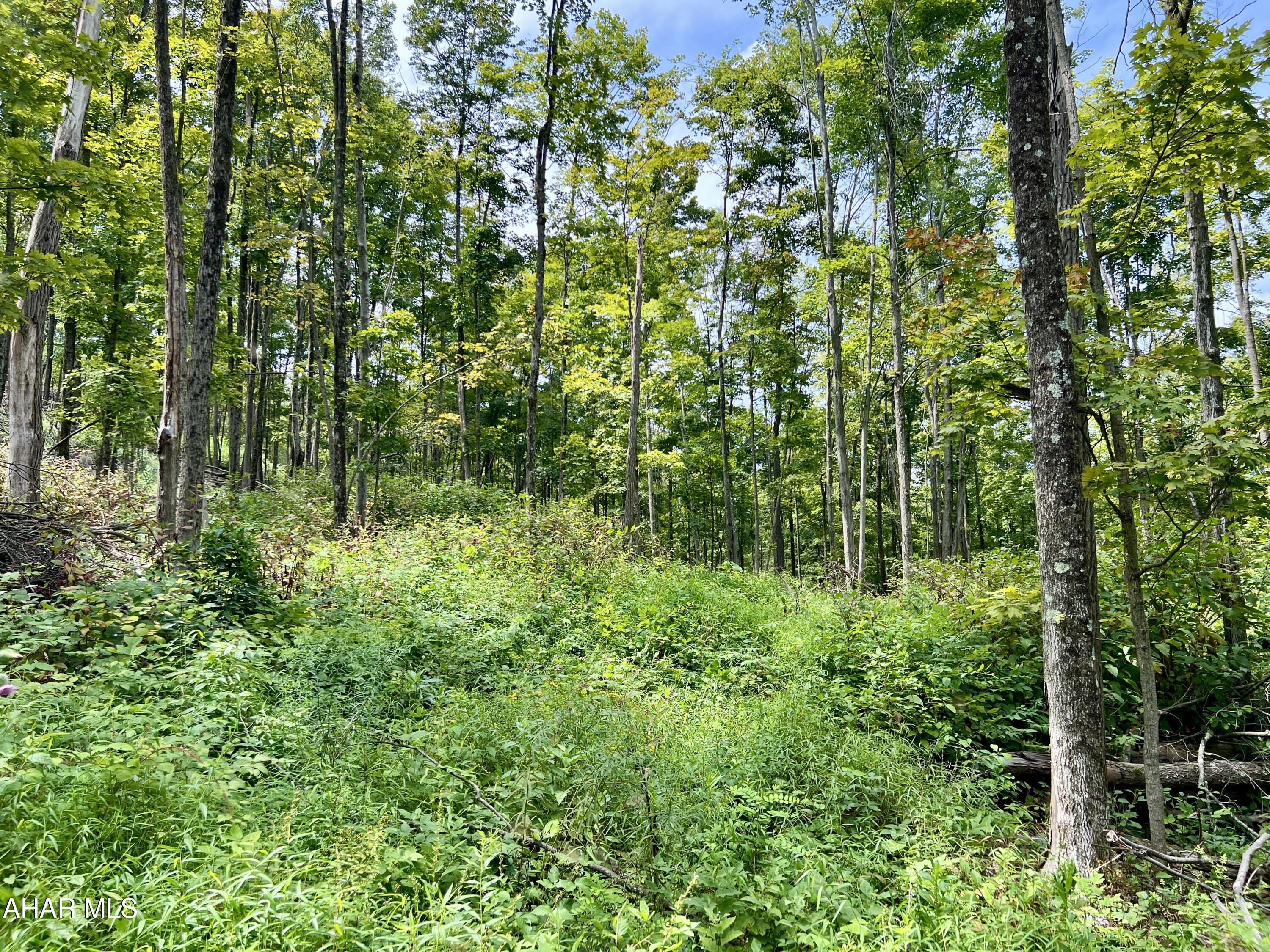 None - Commercial Sale