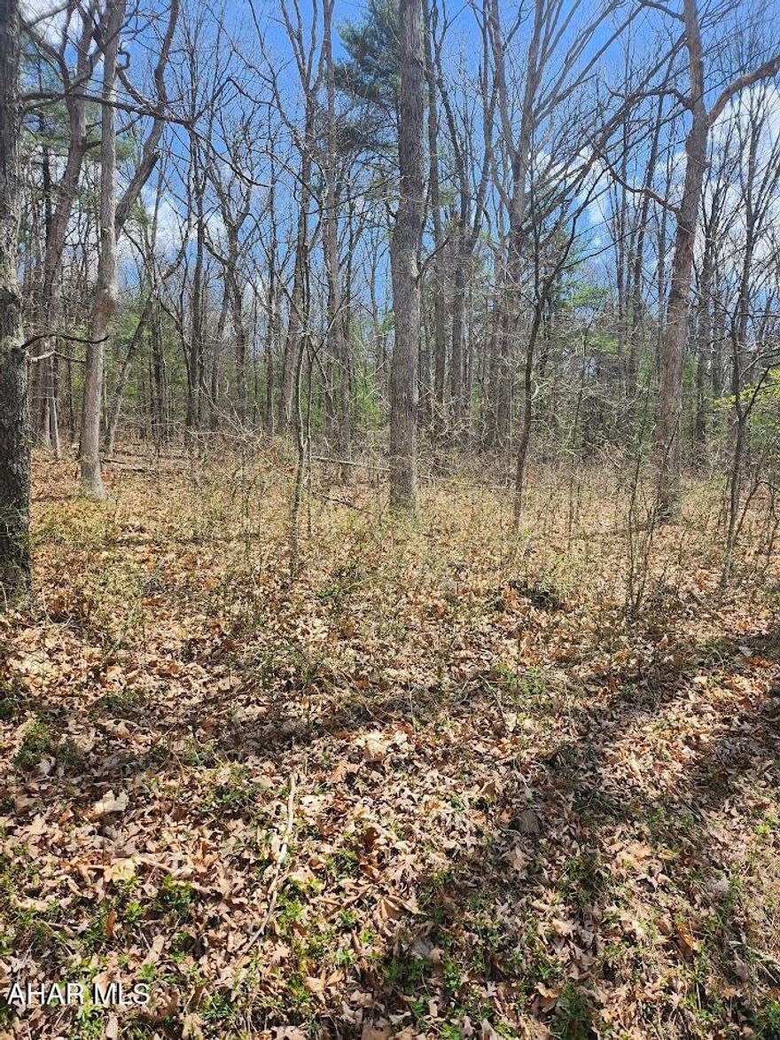 Beautiful 5-acre wooded parcel located along Mechanics Hollow Road in Monroe Township. This mostly level lot offers convenient road frontage and is easily accessible from both Everett and Clearville. The property is fully wooded, providing a peaceful rural setting with the perfect opportunity for a private getaway, recreational use, or potential building site. Situated right next to the road, the land is easy to explore and develop. Whether you're looking for a weekend retreat or a long-term investment, this property offers great potential in a quiet country location. Sign is posted on the property.