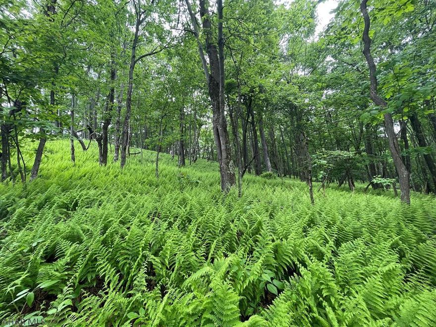 Nice wooded 5.5+/- acre lot to build your dream home or weekend getaway on. Located not far from Pa State Game lands, Shawnee State Park, Indian Lake, and much more!