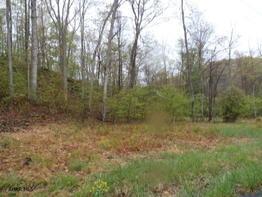 Build it here!  Your dream home, vacation getaway, anything you want.  28+acres-close to the Bedford Springs, lets you be part of Bedford's rich history.  Wooded and open, level and rolling, this property is waiting for you to come claim your dream.