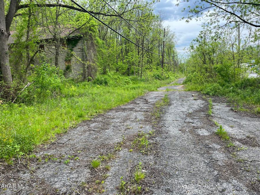 LOOKING FOR ROAD FRONTAGE ALONG BUSINESS 220 NORTH . LOOK NO FURTHER TO BUILD ANYTHING YOU WOULD LIKE ON 18 PLUS ACRES . PRICE TO SELL