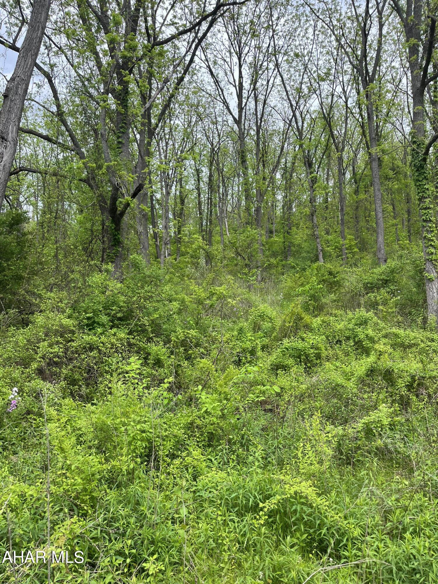 Unknown - Commercial Sale