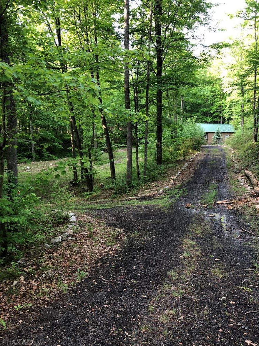 Rare opportunity to have a secluded property adjacent to Buchanan State Forest. Enjoy hunting, ATV/snowmobile use and hiking. This property is a HUNTERS Paradise. A one acre section of the ground has been cleared to take full advantage of the beautiful scenery and to relax along the running stream on the property.  Includes a Pre-Fab Cabin and shed.  No water or electric service but has been wired for generator use.