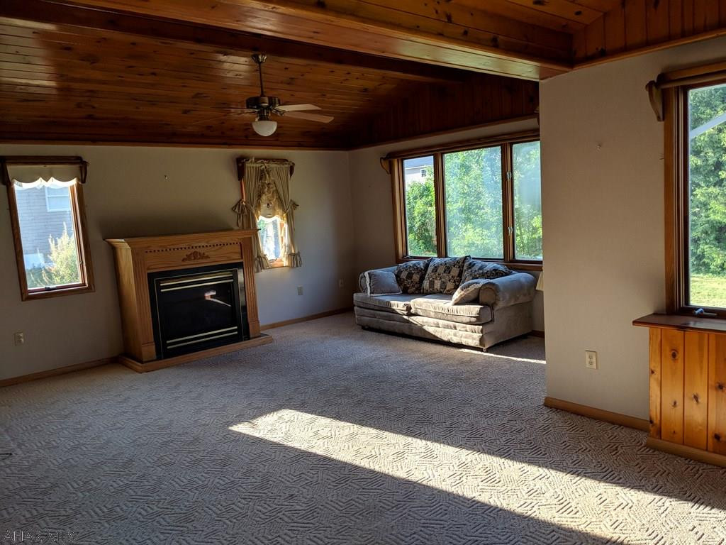 Foot of Ten - Residential