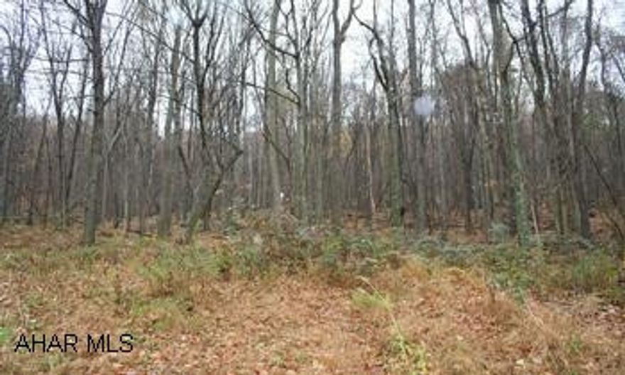 Wooded 16.02 acre lot. Restrictions  apply.
