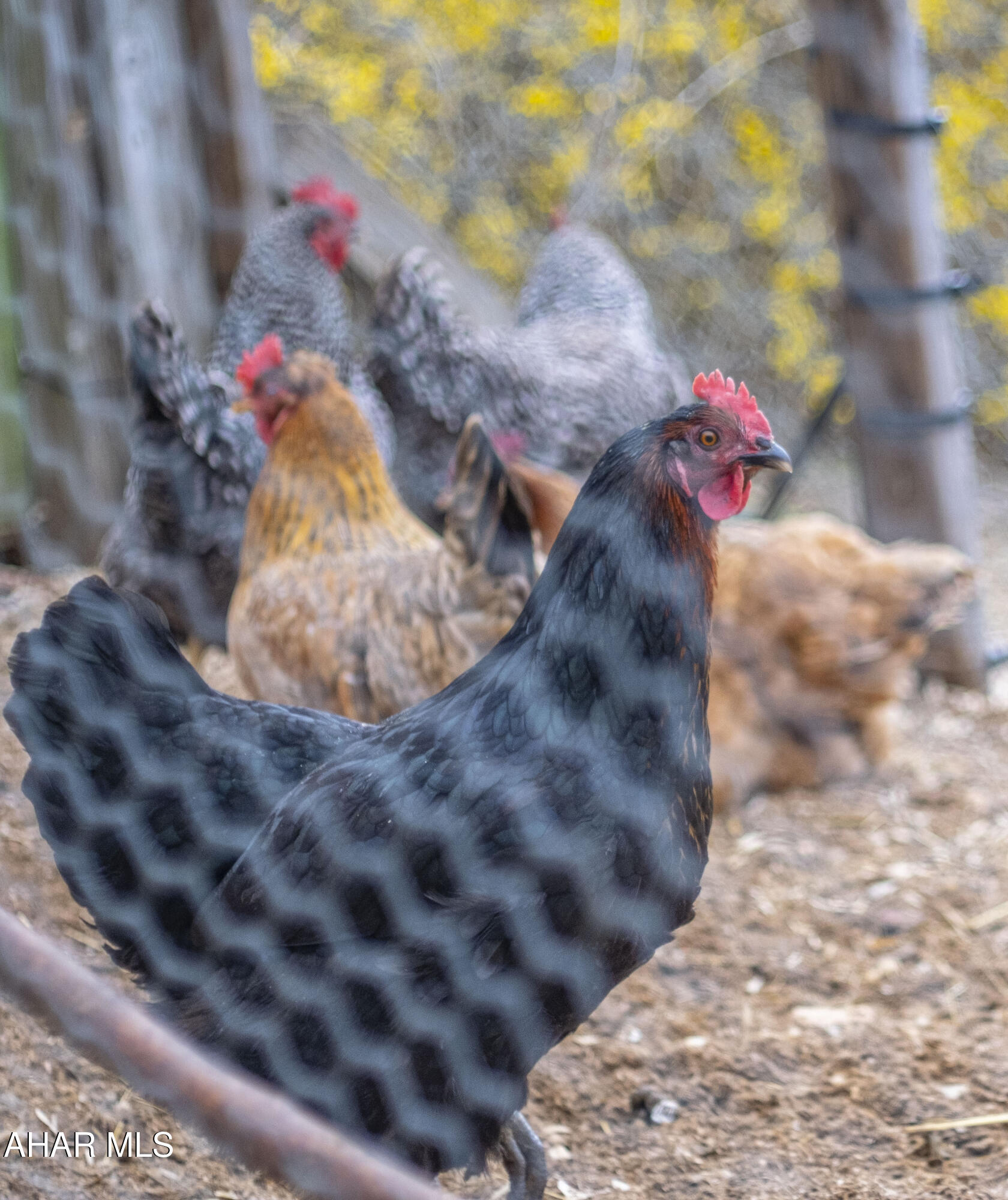 Catherine Township - Residential