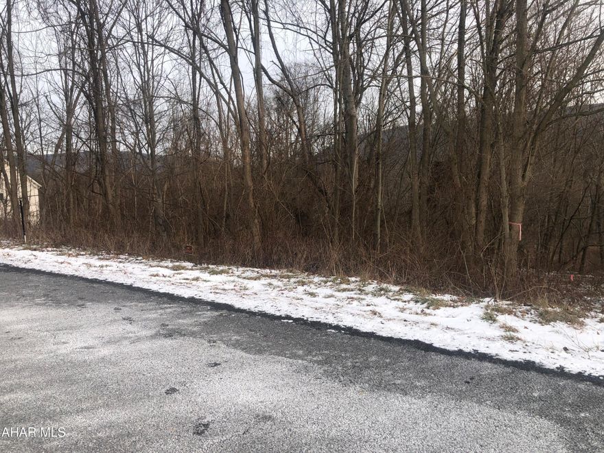 Nice lot located in the beautiful Juniata Mills Development. Sewage and Electric access. No restrictions listed for this lot.