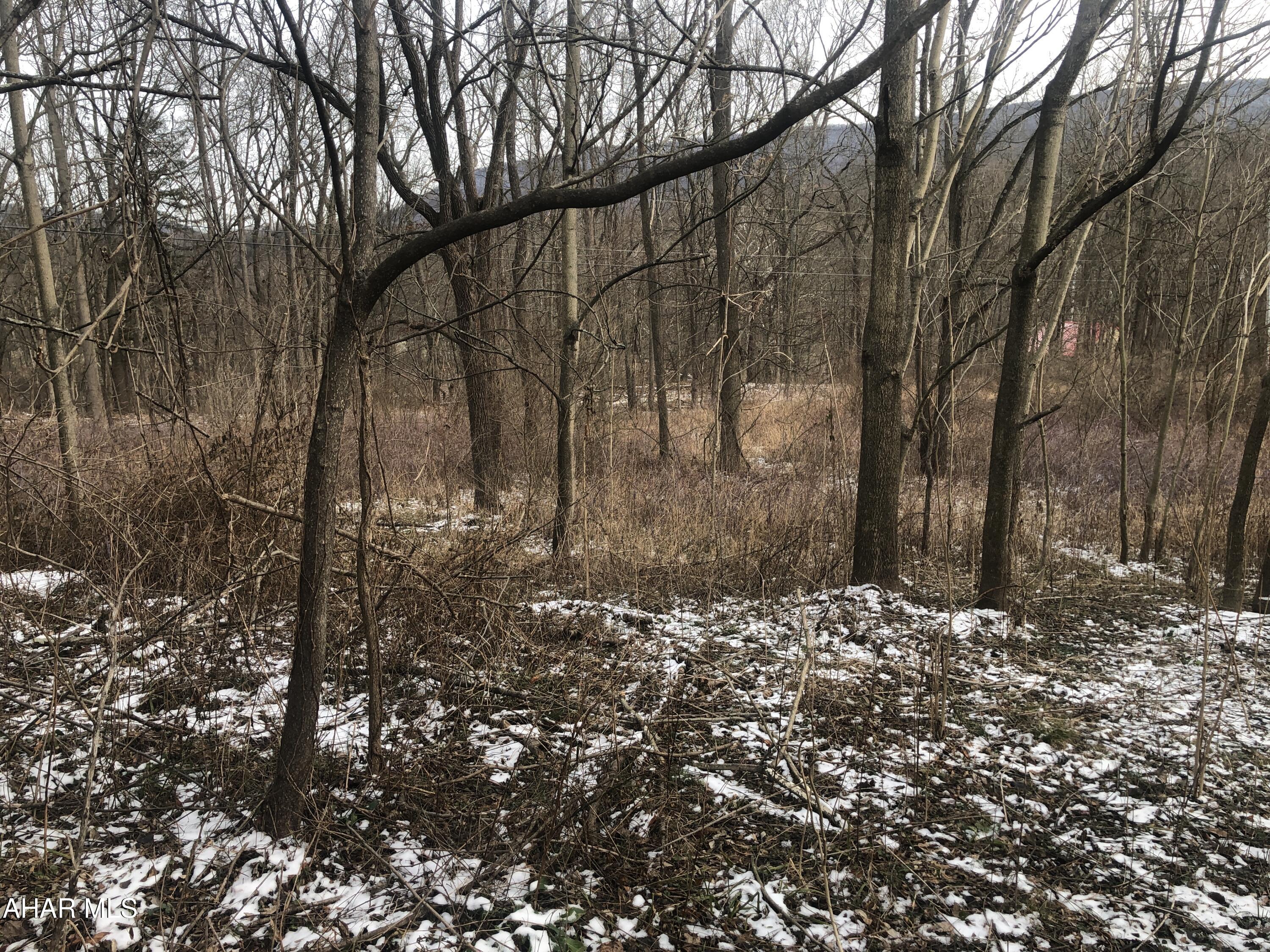 Juniata Mills - Commercial Sale