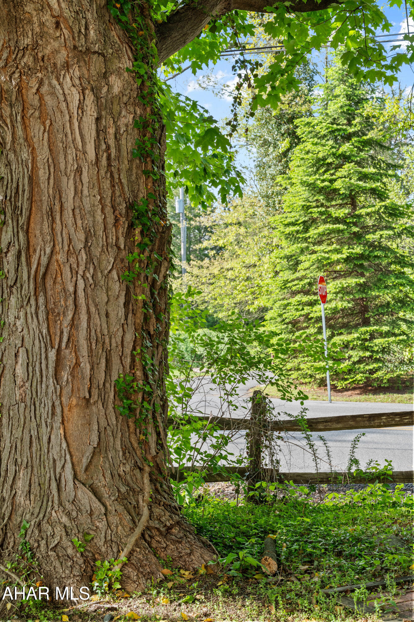 Mansion Park - Residential