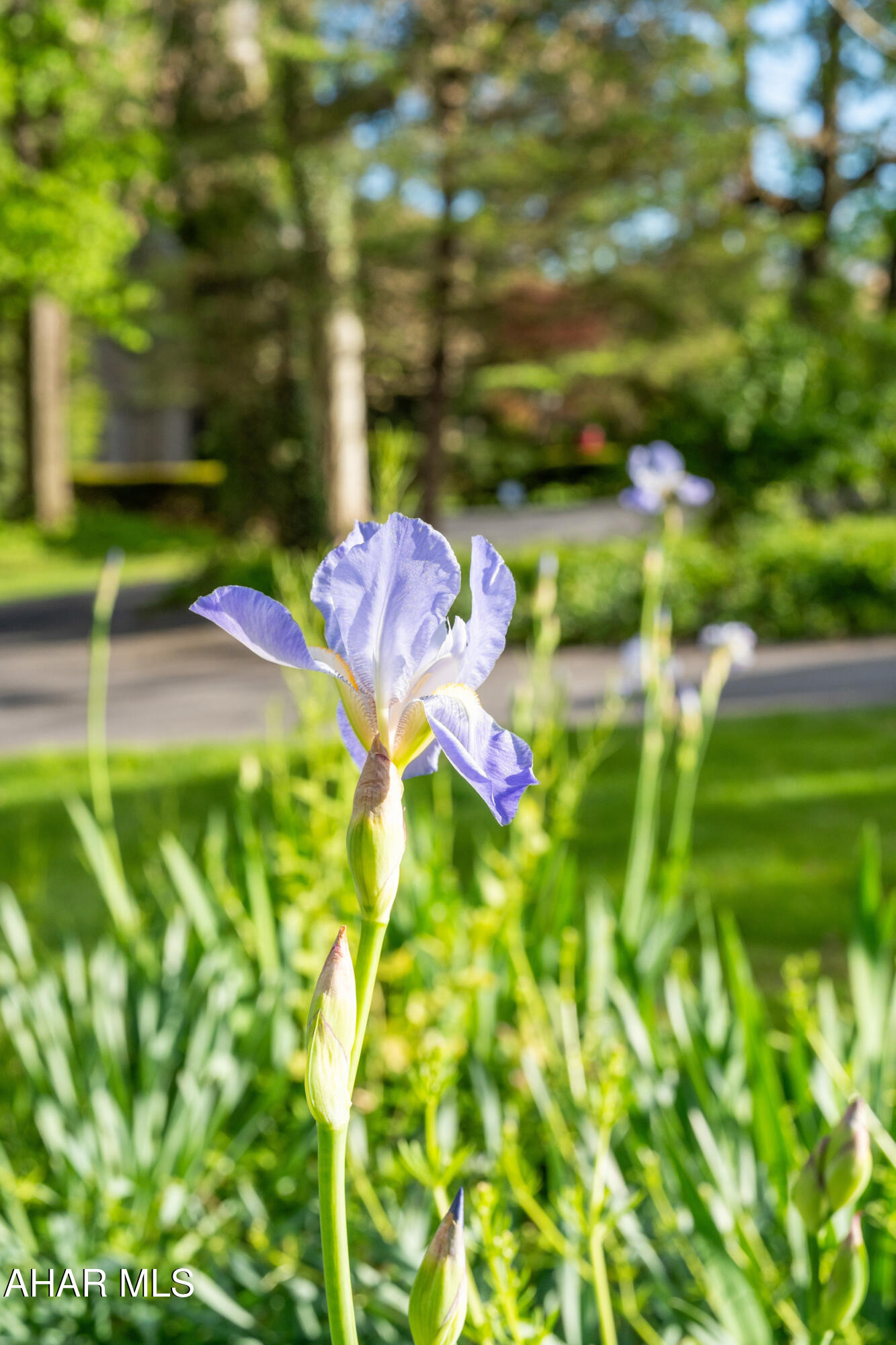 Mansion Park - Residential