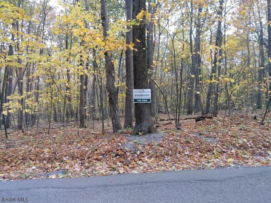 This is your opportunity to build your dream get-a-way at Blue Knob All Seasons Resort. This vacant lot is located on approximately 0.26 acres with endless possibilities. This lot is ready to build and is priced to sell! Electric, water, and sewer available on back side of lot. Wooded lot close to all Blue Knob activities. Dues and taxes are paid to date. Annual lot owners association fee of $75.00 includes Road maintenance, Tennis court, Outdoor pool, Biking and hiking trails, plus it is in close proximity to the Blue Knob Golf Course and restaurants. Enjoy all season activities like golf, skiing and snowboarding just to name a few. Contact listing agent for details.