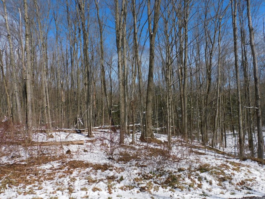 A rare opportunity to own a fantastic parcel of land! Approximately 28.4 Acres of wooded ground.  Would be a great property to build a new home. Plenty of wildlife. Perfect for recreational use.