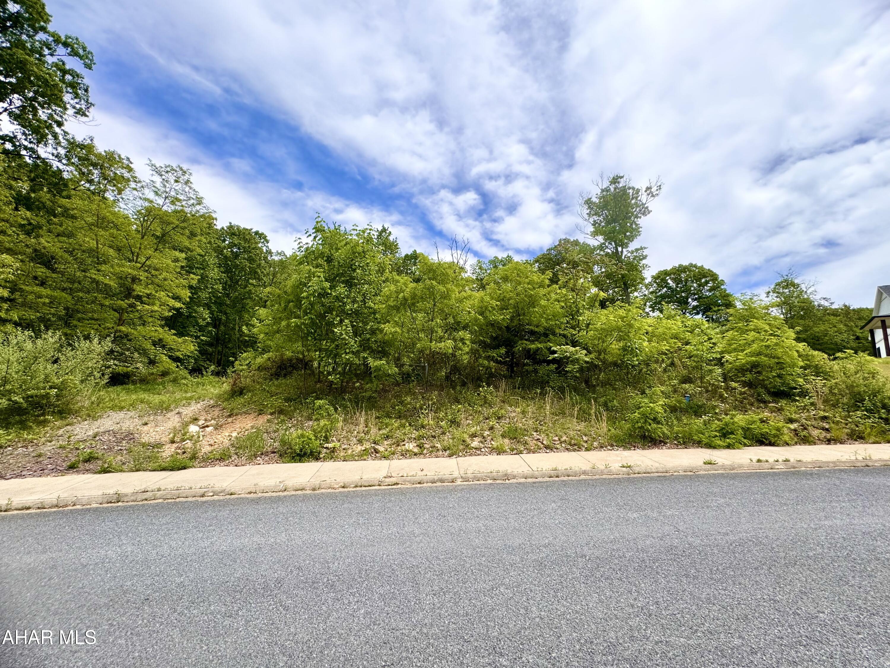 Brush Oaks Development - Land