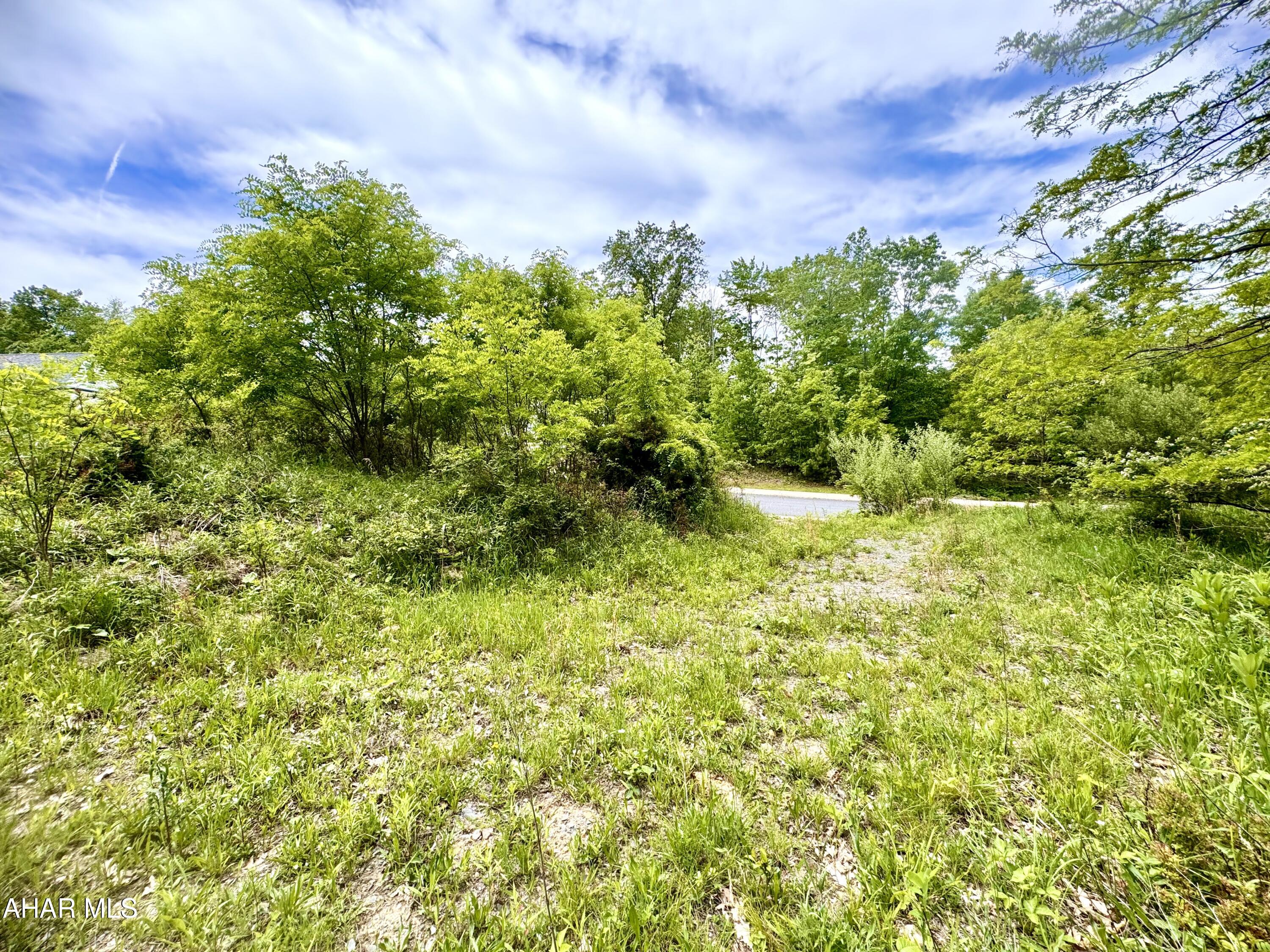 Brush Oaks Development - Land