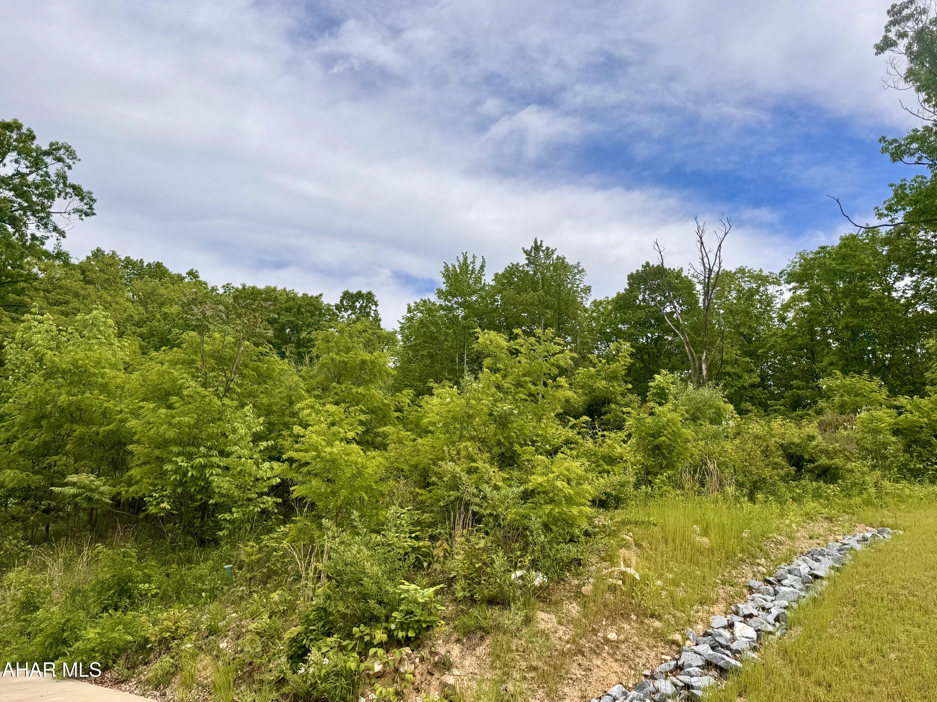 Brush Oaks Development - Land