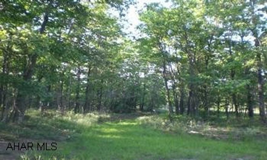 21.439 acres of recreational land located on top of Wills Mountain.  The land is very remote and secluded, great hunting.  Parcel is mainly flat and wooded.  The access road is traveled but is very rough.  MLS area is Hyndman/Bedford.(Directions:  Route 96 to Hyndman, take a left before the railroad tracks, make a right across tracks then a left onto Cooks Mill Road.  Go approx. 2.2 miles, cross one lane bridge, make a left and cross the railroad tracks.  Road to land starts there.  It is 2.5 miles to the top of mountain, that is where this parcel is located.)