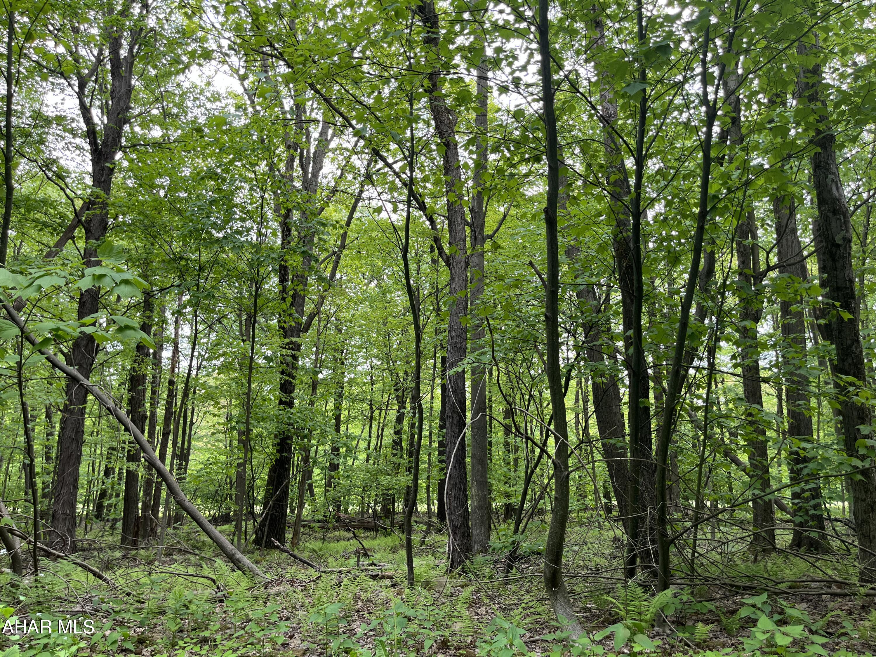 Blue Knob - Commercial Sale