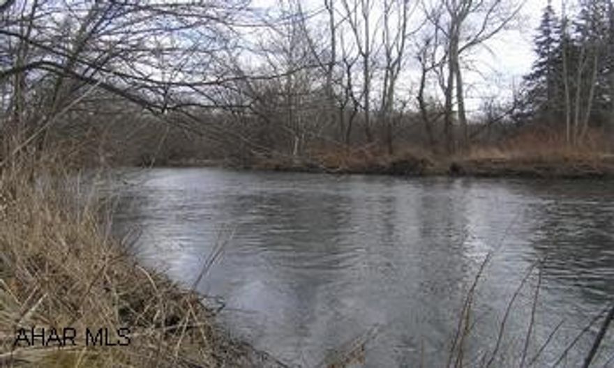 14 acres for Recreation.  Borders future Rails to Trails and Juniata River.  Large field with lots of river frontage, Frankstown Twp, Hollidayburg.