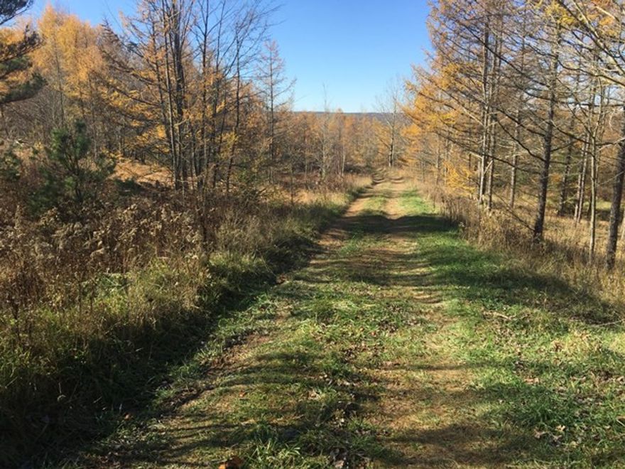 A wonderful mix of rolling hills, meadows and wooded ground in Somerset County PA.  An ideal location for a weekend getaway, hunting or the build site of your dream home.  Electric on the property, a well has been drilled too.  Property can also be purchased with adjoining 4+/- acres with a small warehouse, on a separate parcel, that is currently leased at $350 a month.