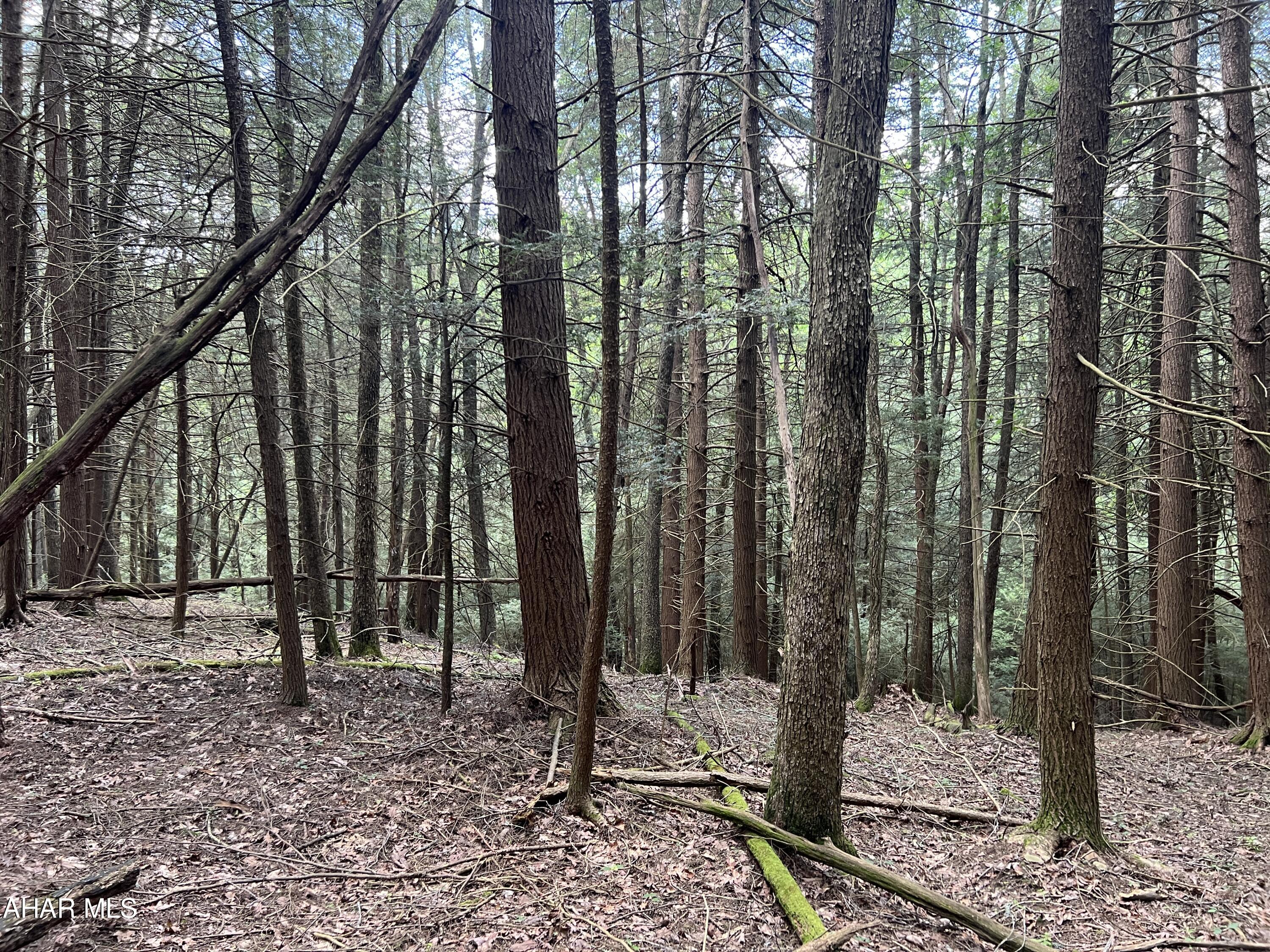 Other - Commercial Sale