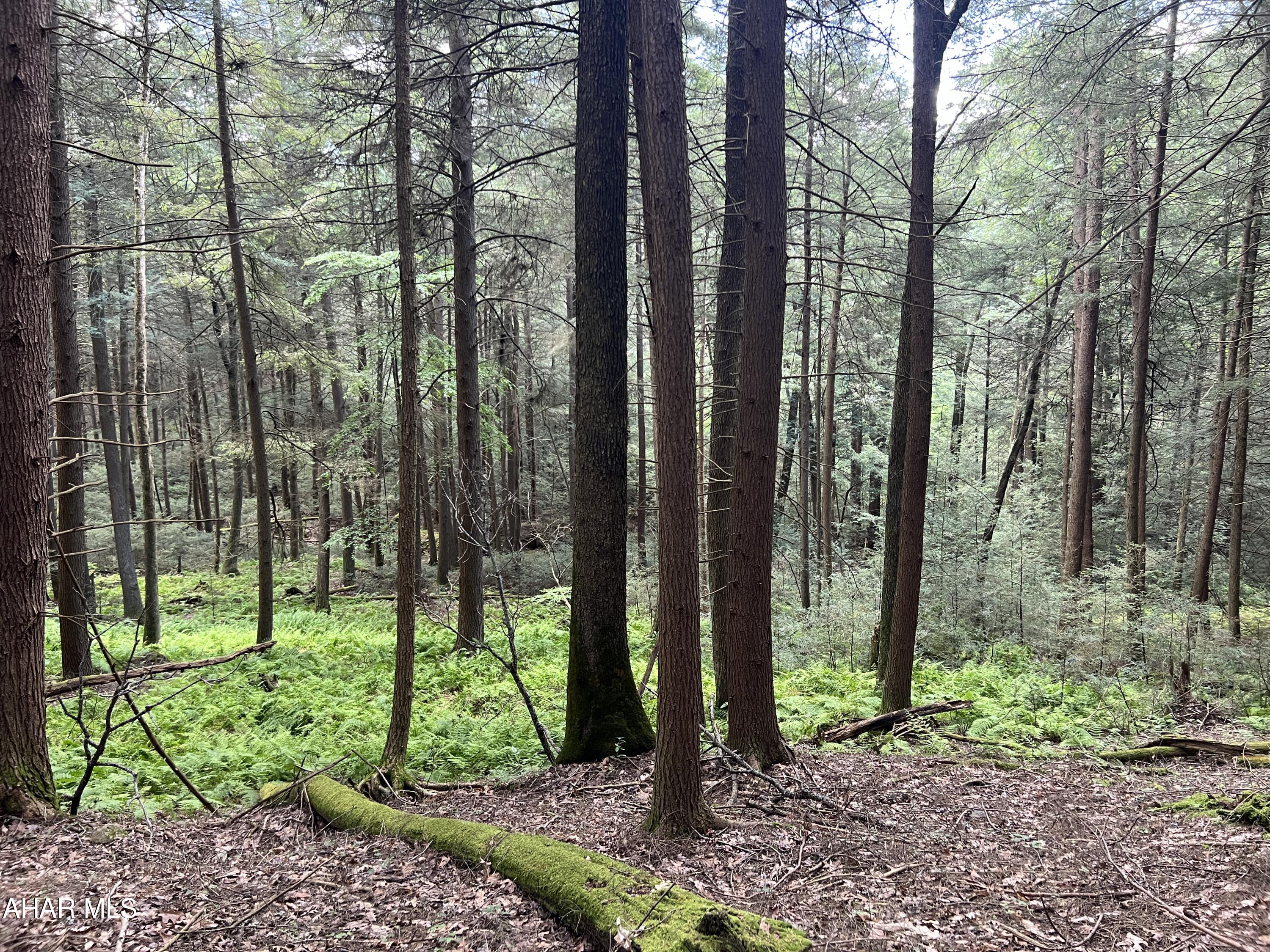 Other - Commercial Sale