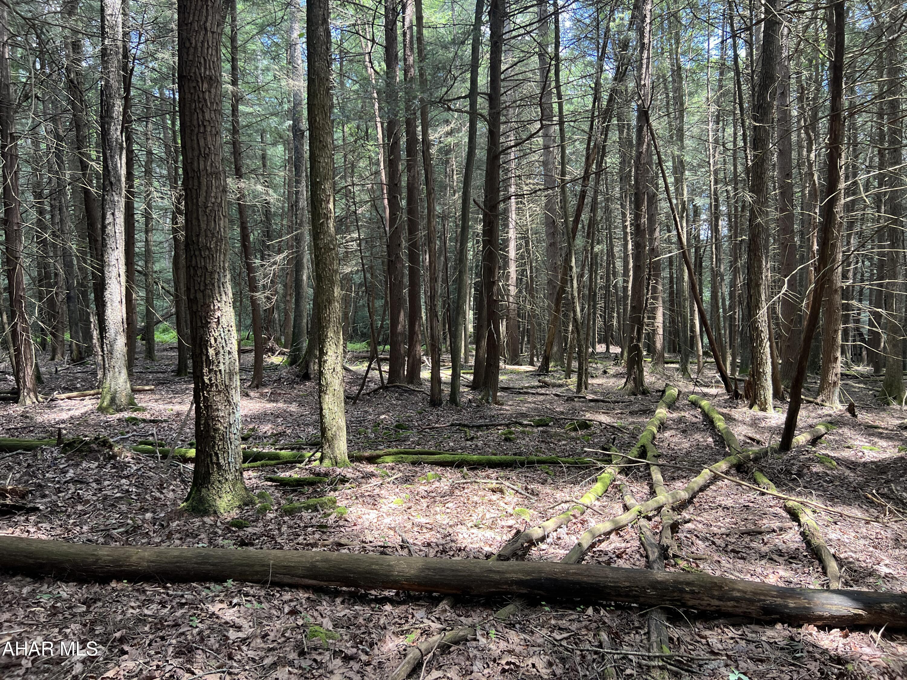 Other - Commercial Sale