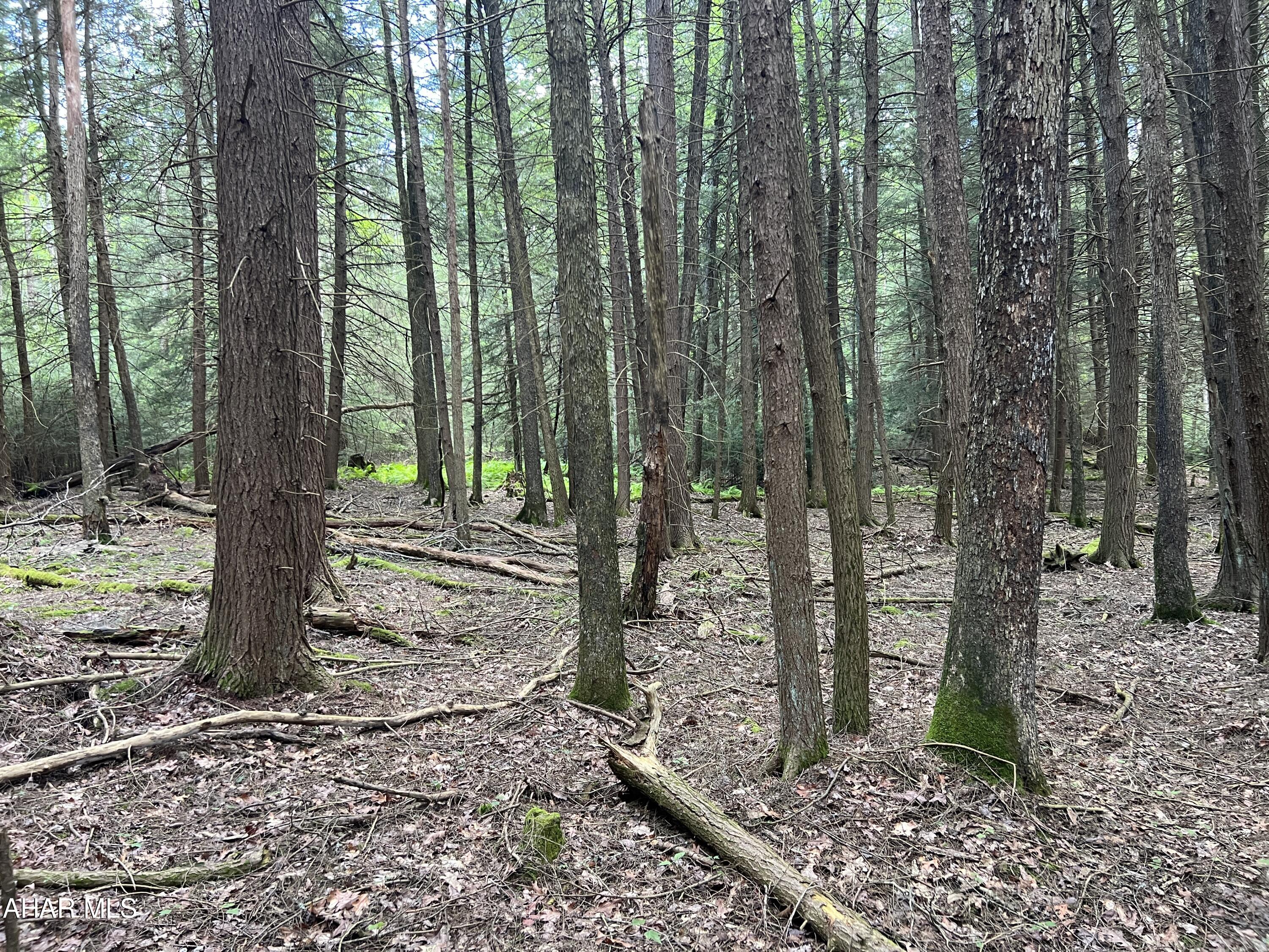 Other - Commercial Sale