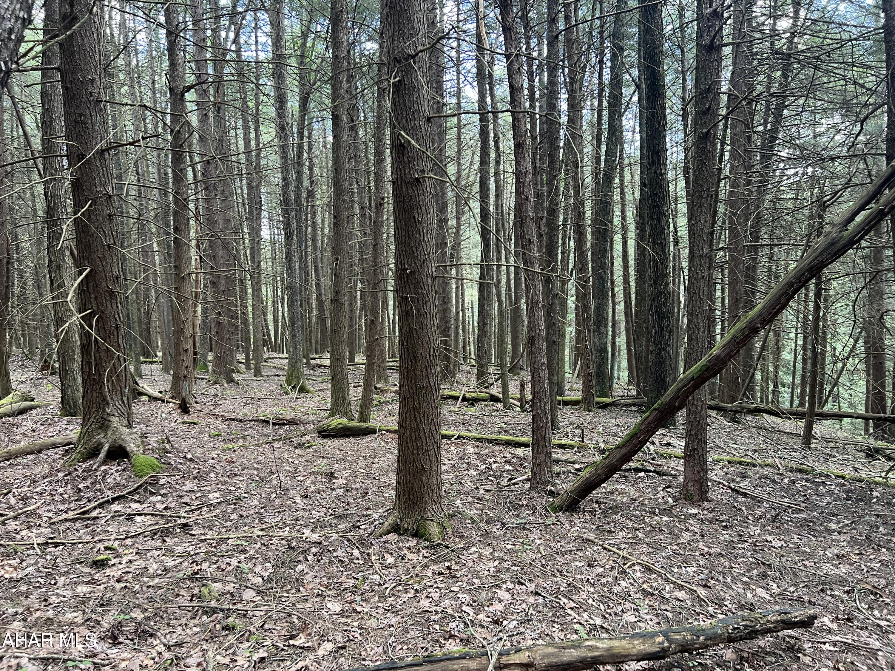 Other - Commercial Sale