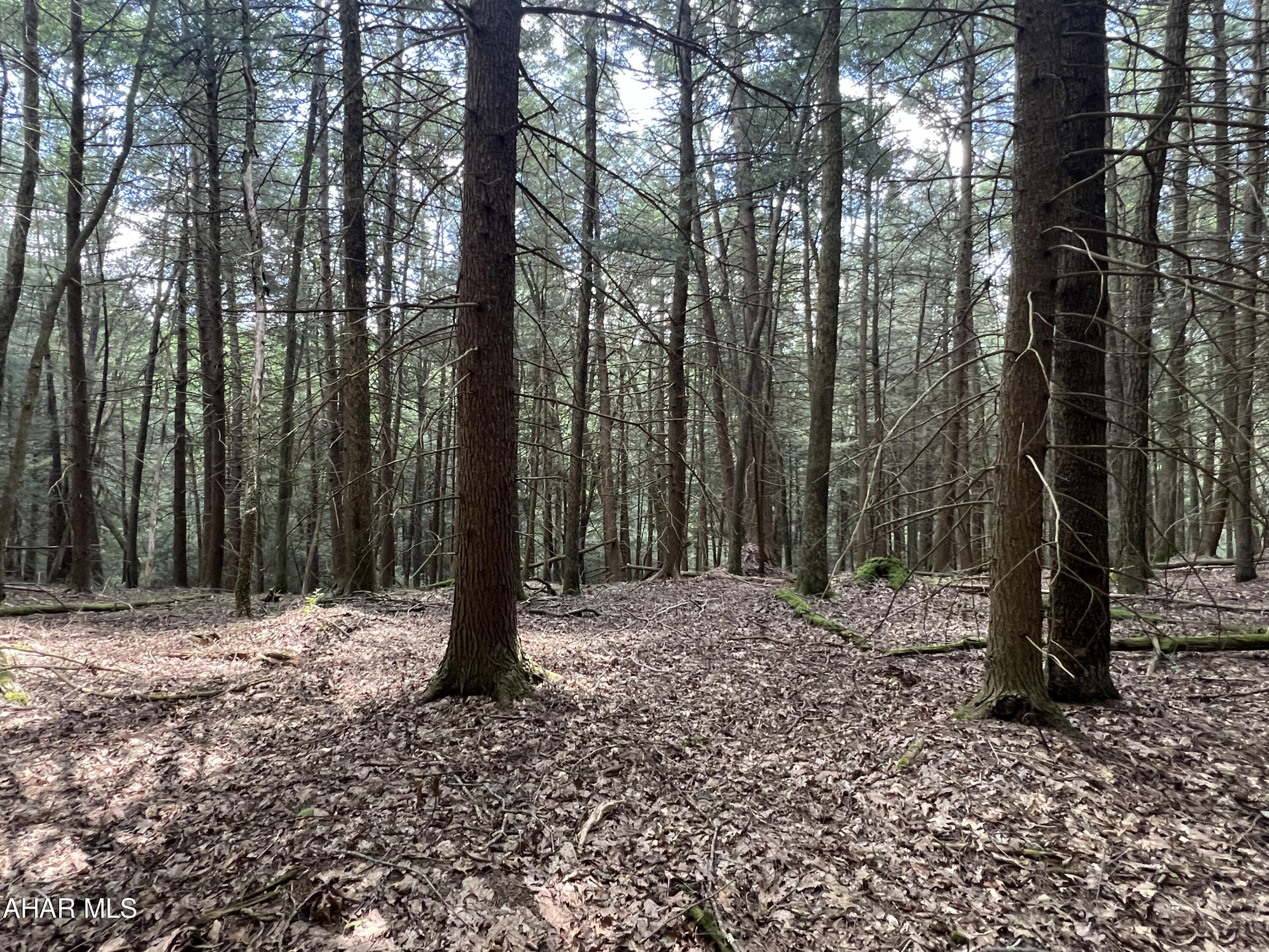 Other - Commercial Sale