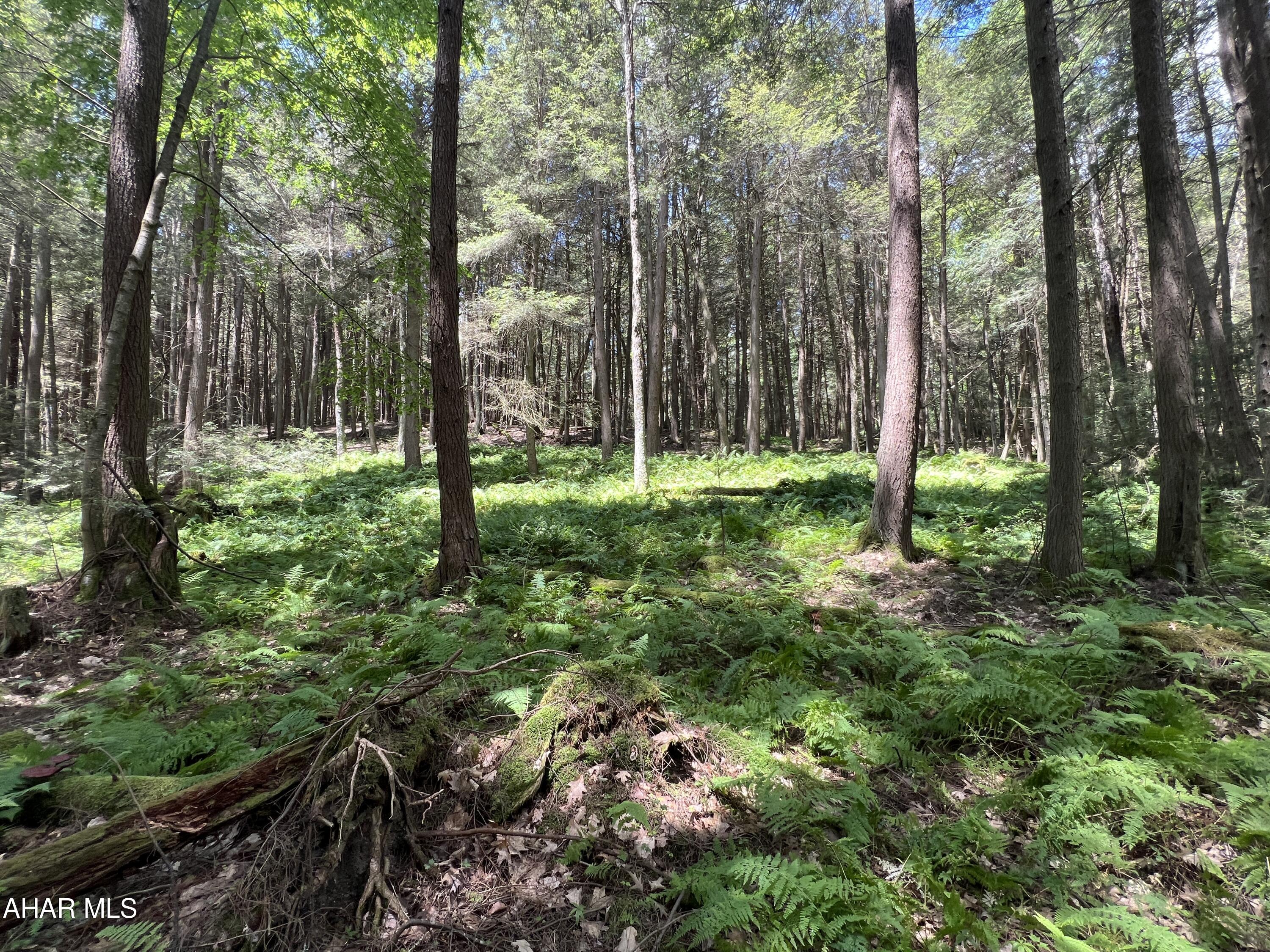 Other - Commercial Sale