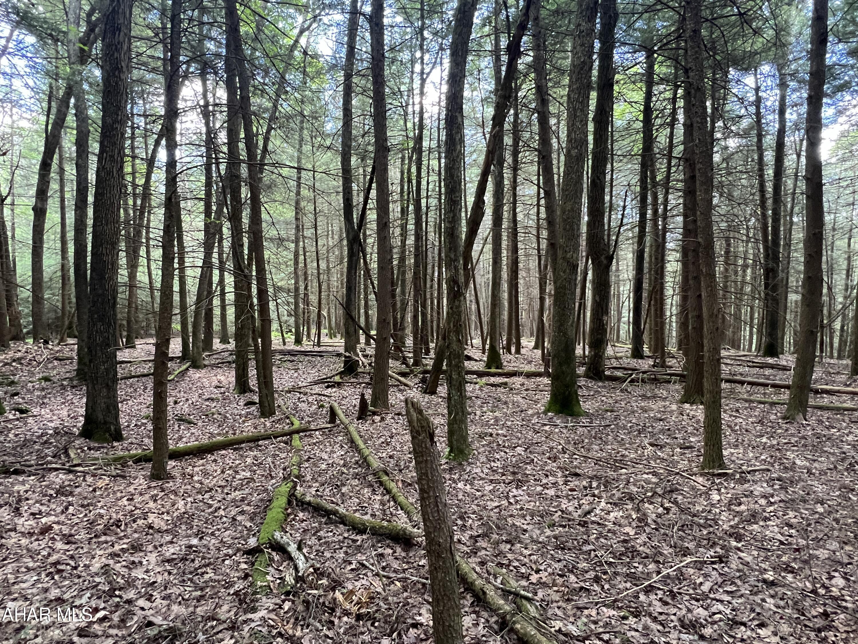 Other - Commercial Sale