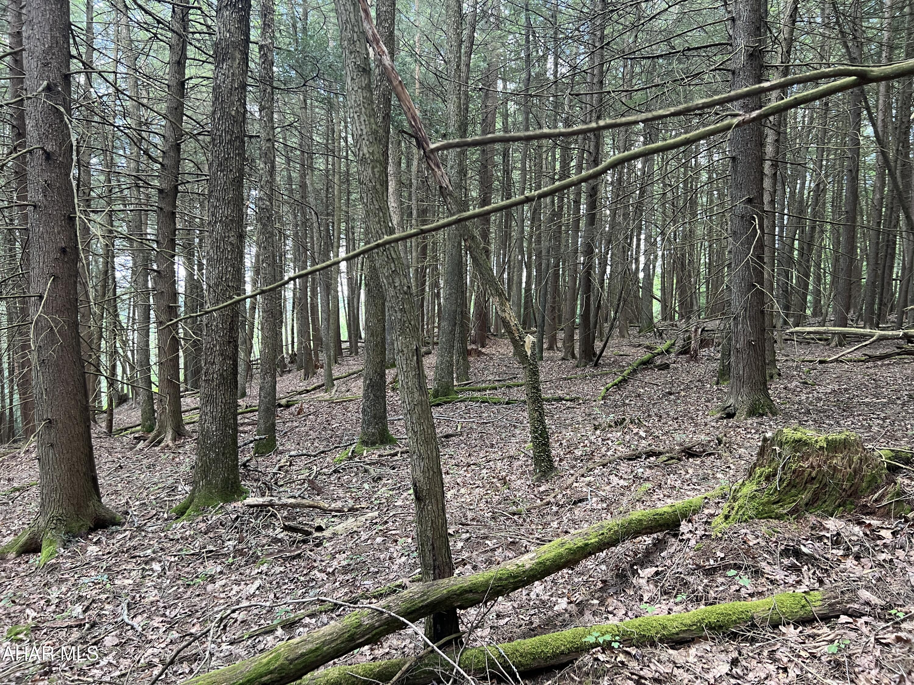 Other - Commercial Sale