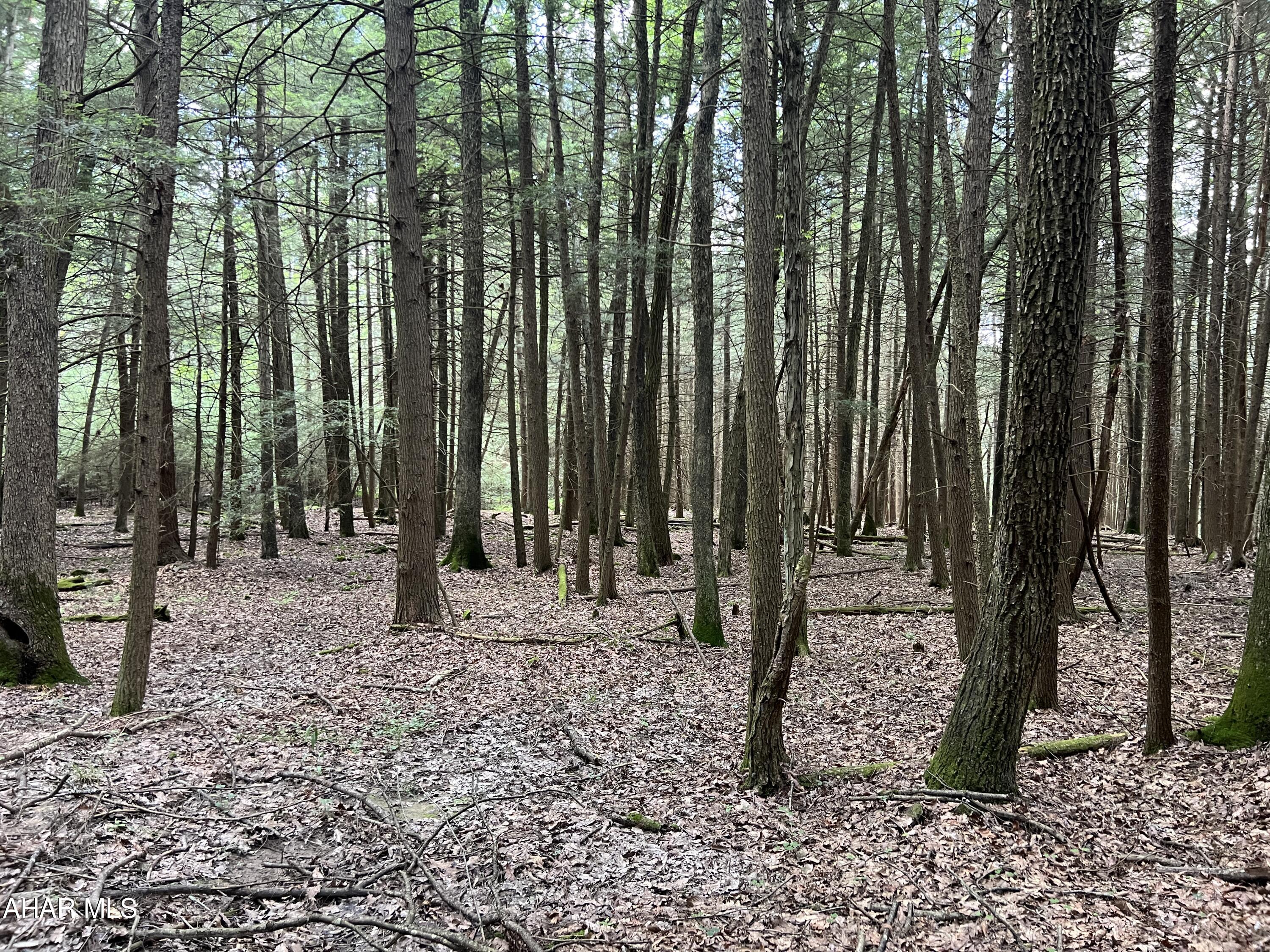 Other - Commercial Sale