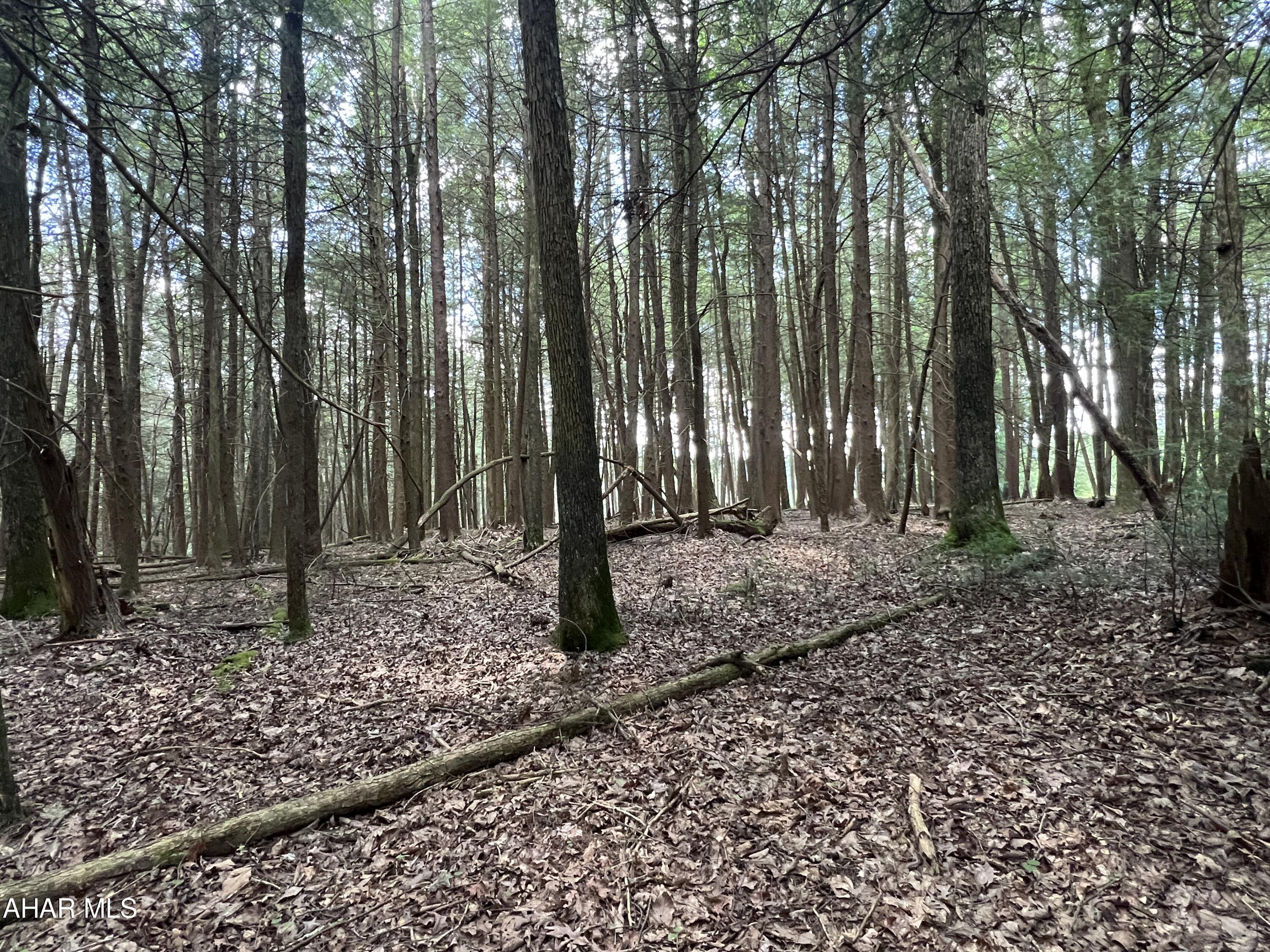 Other - Commercial Sale