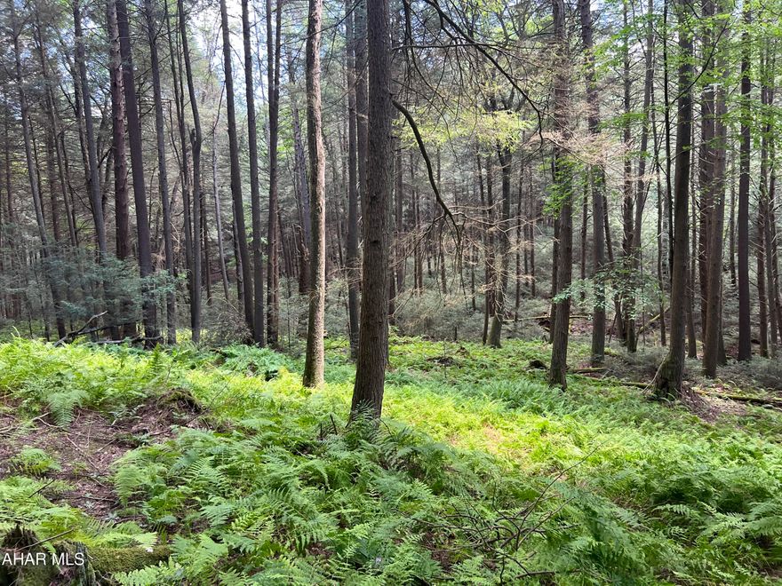10+/- Private wooded acres with a small stream. Would make a nice location to build a getaway or hunting camp.
