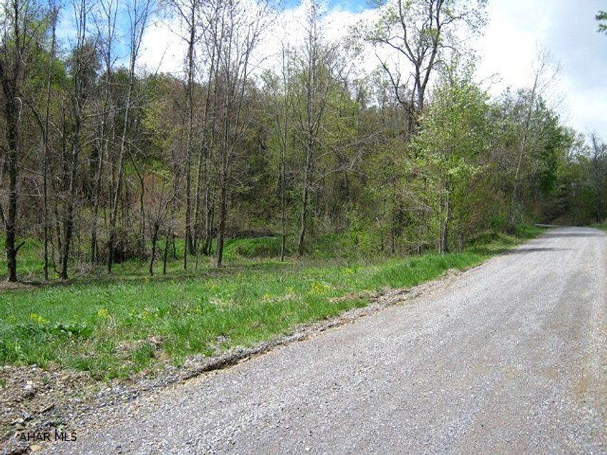 18.47 secluded acres located near Blue Knob State Park and Game lands. Foundation dug but not poured. Great property with scenic views. Must see!!
