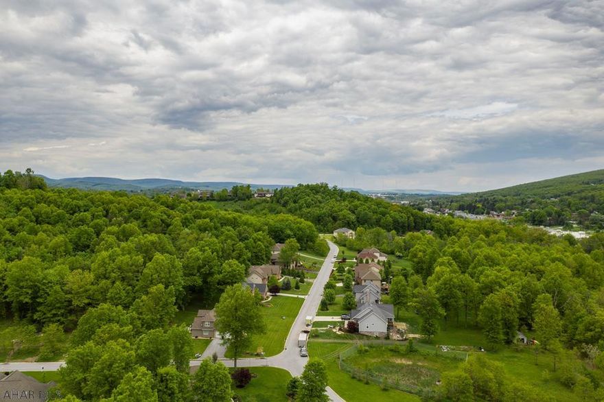 Build your dream home in beautiful Fox Hollow community. Close to local amenities including shopping, dinning, and access to Interstate 99   Hollidaysburg School District   Public Water & Sewer, buyer to pay tap fee at closing