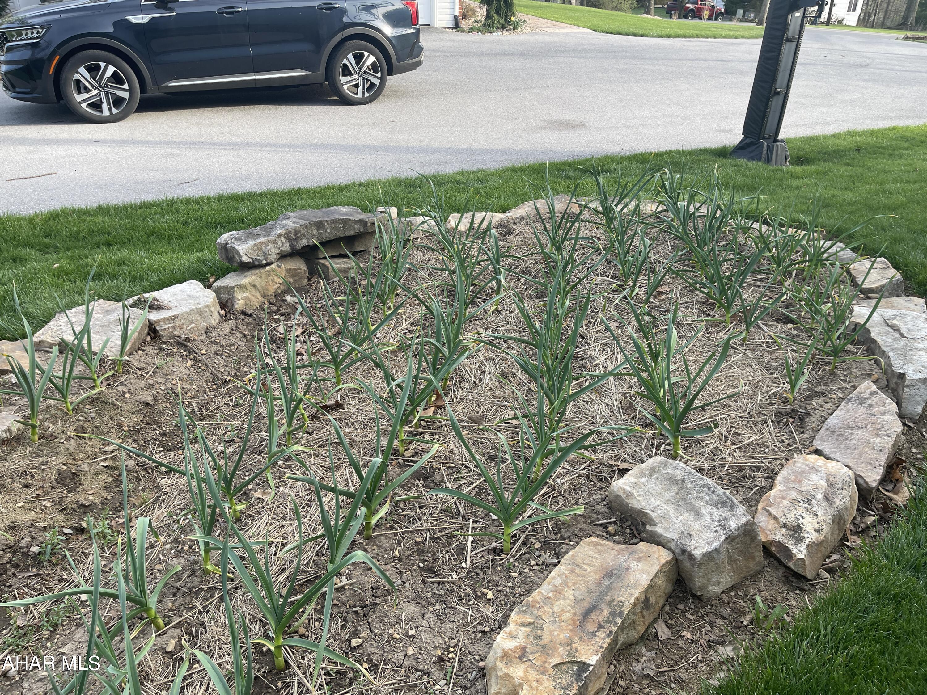 Sylvan East - Residential