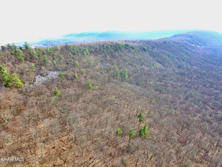 Hard to find large acreage tract containing 177 Acres. This property is an outdoor enthusiasts dream and a great place to getaway and enjoy nature to hunt, ride atvs/horses, hike, camp, & so much more.
