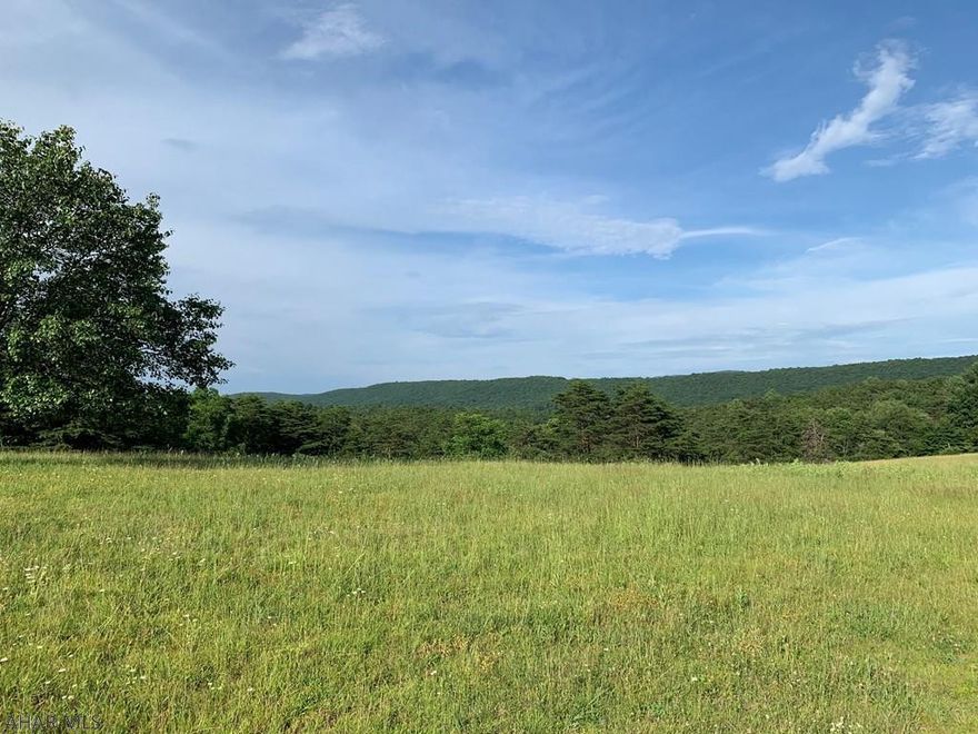 Two partially wooded lots consisting of 29+/- acres in the country that would make a great place to build a full time residence or getaway with beautiful views of the Mountains. Community pond within walking distance and State Game Lands are located a few minutes away. Well and privy on site. Property was recently surveyed.