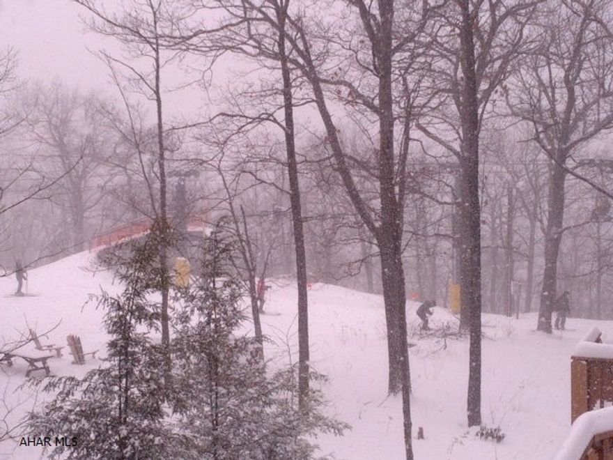 Great Blue Knob Ski Area Lot (4 lots away from Chair Lift) on Valley Point Lane!  Perfect for the ski lover, or for someone who loves the wooded setting!  .301 acre wooded lot.  Pavia Township.  (Buyer would need to connect to the community water and sewer). HOA dues- $75.00 per year.  Vacant land. Spruce Knob Association  J-224