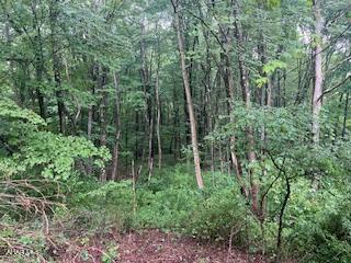 Unknown - Commercial Sale