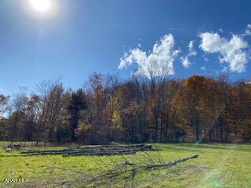 LOOKING FOR A 17 PLUS ACRE PARCEL OF PERC GROUND FOR A DREAM HOME OR HUNTING. LOOK NO FURTHER. THIS PROPERTY IS VERY VERY PRIVATE BUT VERY CLOSE TO AMENITIES . CALL FOR APPOINTMENT TO SET UP SHOWING PLEASE?  DEAN @ 814-977-0950