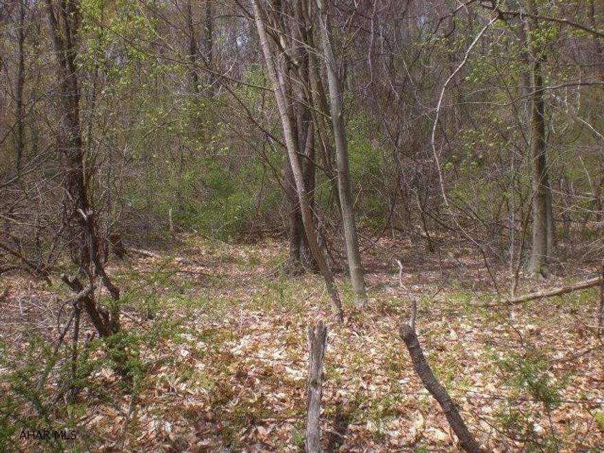 Private & secluded 5 acre lot. Wooded lot close to schools and amenities. Lot needs perc. tested before building.