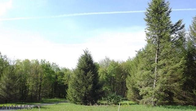 Spruce Hill Estates - Land