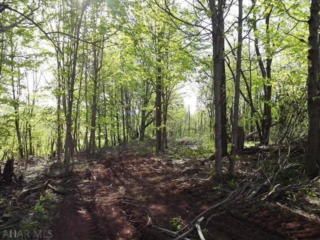 Spruce Hill Estates - Land