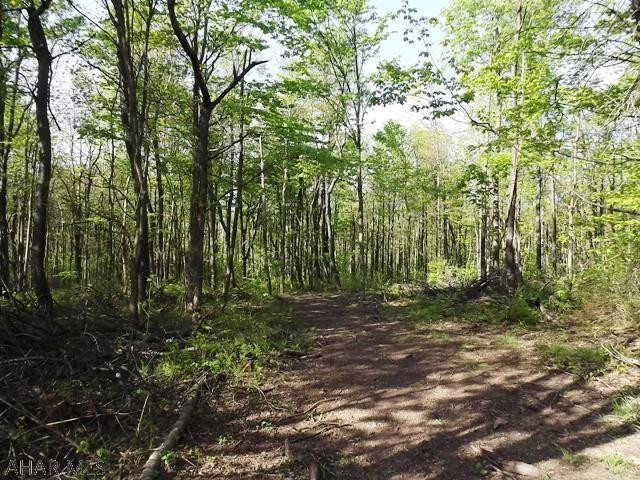 Spruce Hill Estates - Land