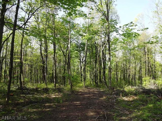 Spruce Hill Estates - Land