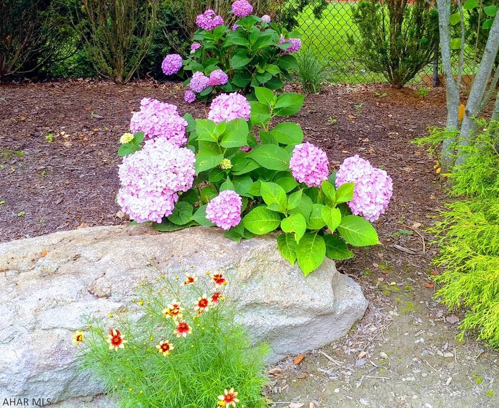 Hazenstab Development - Residential